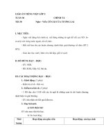 Giáo án Tiếng việt 5 tuần 30 bài: Cô gái của tương lai