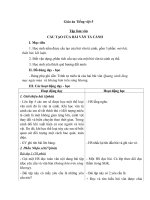 Giáo án Tiếng việt 5 tuần 1 bài: Cấu tạo bài văn tả cảnh