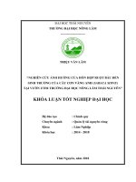 Nghiên cứu ảnh hưởng của hỗn hợp ruột bầu đến sinh trưởng của cây con Vàng Anh (Saraca sdive) tại vườn ươm Trường Đại học Nông lâm Thái Nguyên (Khóa luận tốt nghiệp)