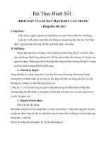 Báo cáo thực tập điện 1