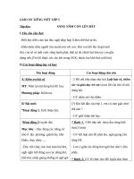 Giáo án Tiếng việt 5 tuần 33 bài: Sang năm con lên bảy