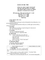 GIÁO án dự THI GVG trường mầm non