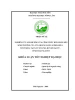 Nghiên cứu ảnh hưởng của công thức bón phân đến sinh trưởng của cây Hoàng đằng (Fibraurea tinctoria) tại xã Tân Linh  huyện Đại Từ  tỉnh Thái nguyên (Khóa luận tốt nghiệp)