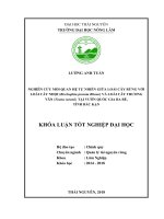 Nghiên cứu mối quan hệ tự nhiên giữa loài cây rừng với loài cây Nhội Bischophia javania Blume và loài cây Trương Vân Toona surenii tại vườn Quốc Gia Ba Bể  tỉnh Bắc Kạn (Khóa luận tốt nghiệp)