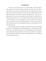 QUAN ĐIỂM VỀ CÁC NGUYÊN TẮC KẾ TOÁN ÁP DỤNG TRONG HỆ THỐNG KẾ TOÁN DOANH NGHIỆP PHI NHÂN THỌ VÀ HỆ THỐNG KẾ TOÁN NGÂN HÀNG THƯƠNG MẠI