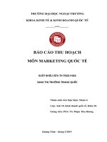 Xuất khẩu sữa TH Truemilk sang thị trường Trung Quốc - Bản Word