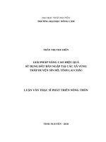 Giải pháp nâng cao hiệu quả sử dụng đất bán ngập tại các xã vùng thấp huyện sìn hồ, tỉnh lai châu 