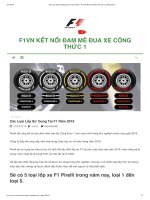Các loại lốp sử dụng tại f1 năm 2019   F1VN kết nối đam mê đua xe công thức 1
