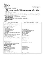 CHINH TA LOP 2 TUAN 131