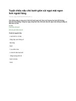 Tuyệt chiêu nấu chè bưởi giòn cùi ngọt mát ngon hơn ngoài hàng