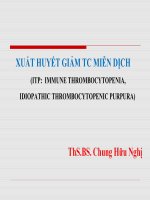 Xuất huyết giảm tiểu cầu miễn dịch