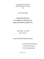 Luận án tiến sĩ cơ học kỹ thuật phân tích đáp ứng của profile cánh máy bay theo cách tiếp cận đối ngẫu 