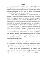 (luận văn tiến sĩ) nghiên cứu những biện pháp nâng cao an toàn hành hải qua phân tích các vụ đâm va và mắc cạn