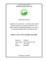 Nghiên cứu ảnh hưởng của thuốc kích thích sinh trưởng IBA (Axit indolbutilic)đến khả năng hình thành cây hom Dâm bụt (Hibiscus rosasinensis) tại trường Đại học Nông Lâm Thái Nguyên (Khóa luận tốt nghiệp)