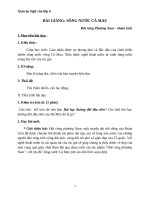 Giáo án Ngữ văn 6 bài 19: Sông nước Cà Mau