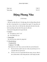 Giáo án Ngữ văn 6 bài 31: Động Phong Nha