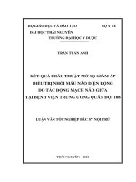 Kết quả phẫu thuật mở sọ giảm áp điều trị nhồi máu não diện rộng do tắc động mạch não giữa tại Bệnh viện Trung ương Quân đội 108 (Luận văn thạc sĩ)