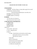 Giáo án Ngữ văn 6 bài 28: Ôn tập văn miêu tả