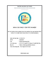 phân tích chính sách sản phẩm