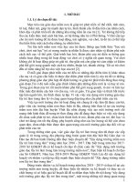 SKKN quản lý mầm non một số biện pháp chỉ đạo xây dựng môi trường giáo dục lấy trẻ làm trung tâm 2019