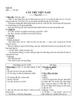 Giáo án Ngữ văn 6 bài 26: Cây tre Việt Nam