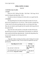 Giáo án Ngữ văn 6 bài 19: Sông nước Cà Mau