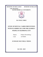 Nghiên cứu dự phòng sâu răng bằng gel fluor ở người cao tuổi thành phố hải phòng tt tiếng anh 