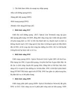 Cấu hình tham chiếu của mạng truy nhập quang