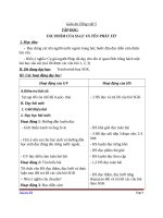 Giáo án Tiếng Việt 5 tuần 6 bài: Tập đọcTác phẩm của Sile và tên phát xít