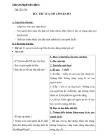 Giáo án Ngữ văn 6 bài 30: Bức thư của thủ lĩnh da đỏ