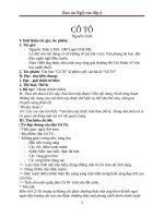 Giáo án Ngữ văn 6 bài 25: Cô Tô