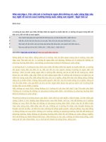 Nhà văn nga l tôn xtôi nói lí tưởng là ngọn đèn không có cuộc sống hãy nêu suy nghĩ về vai trò của lí tưởng trong cuộc sống con người