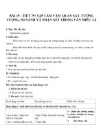 Giáo án Ngữ văn 6 bài 19: Quan sát, tưởng tượng, so sánh và nhận xét trong văn miêu tả
