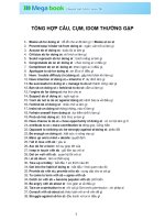 Tổng hợp các cụm động từ ( phrasal verbs) hay gặp trong đề thi THPT QG megabook  