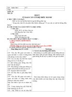 giáo án tin học 6 chỉnh sửa theo 5 hoạt động mới tiết 20 đến 36 năm 2018 2019