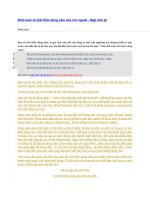 Bình luận về tinh thần dũng cảm của con người