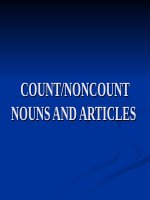 COUNT NONCOUNT NOUNS AND ARTICLES 