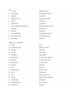 English for human resource management