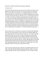 Hình thức và ý nghĩa của hình thức trong sáng tạo nghệ thuật 