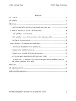 Tiểu Luận Môn Mac Lenin