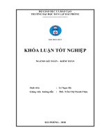 Hoàn thiện công tác kế toán hàng hóa tại công ty trách nhiệm hữu hạn đầu tư và phát triển thương mại Trường Anh