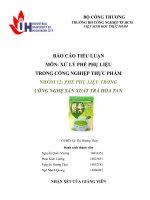 TIỂU LUẬN PHẾ PHỤ LIỆU TRONG SẢN XUẤT TRÀ HÒA TAN