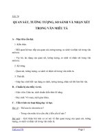 Giáo án Ngữ văn 6 bài 19: Quan sát, tưởng tượng, so sánh và nhận xét trong văn miêu tả