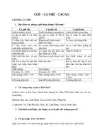 CHE CA PHE CACAO CH NG CA PHE 1  ca phe 