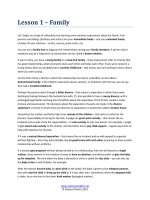 TEXT   free samples   1000 collocations e book