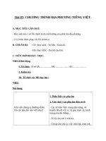 Giáo án Ngữ văn 6 bài 21: Chương trình địa phương: Rèn luyện chính tả