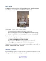 TEXT   free samples   600 confusing words e book