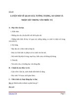 Giáo án Ngữ văn 6 bài 20: Luyện nói về quan sát, tưởng tượng, so sánh và nhận xét trong văn miêu tả