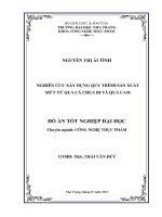 nghien cuu xay dung quy trinh san xuat mut tu qua ca chua bi va qua cam 3589 