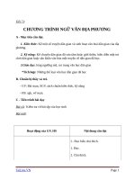 Giáo án Ngữ văn 6 bài 17: Chương trình địa phương